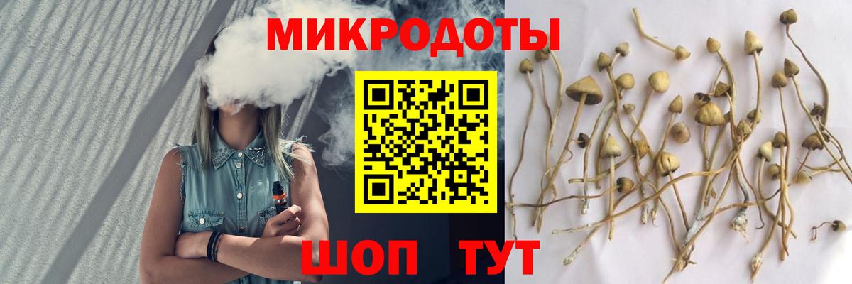 Вичуга  Псилоцибиновые грибы ЛСД  Вход с VPN 